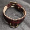 Drop Tip Sigil Collar Burgundy 2 Burgundy English Bridle leather Drop Tip Sigil Collar with solid brass hardware, shown from the inside to highlight the natural lambskin lining and shaped front profile.