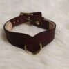 Collar - Burgundy - White Backdrop 1 Burgundy leather Drop Tip Sigil Collar with solid brass hardware on a light background.