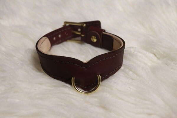 Collar - Burgundy - White Backdrop 1 Burgundy leather Drop Tip Sigil Collar with solid brass hardware on a light background.