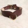 Drop Tip Sigil Collar - Burgundy - White Backdrop 2 Burgundy English Bridle leather Drop Tip Sigil Collar with solid brass D-ring and buckle hardware, shown from the front on a white fur background.