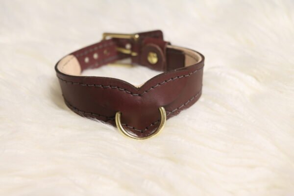 Drop Tip Sigil Collar - Burgundy - White Backdrop 2 Burgundy English Bridle leather Drop Tip Sigil Collar with solid brass D-ring and buckle hardware, shown from the front on a white fur background.