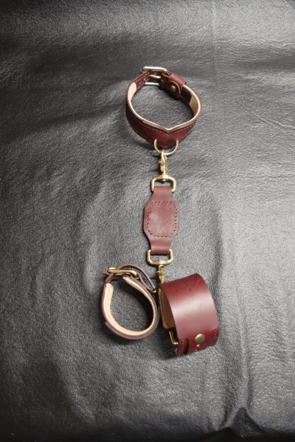 Drop Tip Sigil Collar Tethered to Owned Riding Cuffs Burgundy English Bridle Drop Tip Sigil Collar connected by a leather tether to matching Owned Riding Cuffs with solid brass hardware and natural lining.