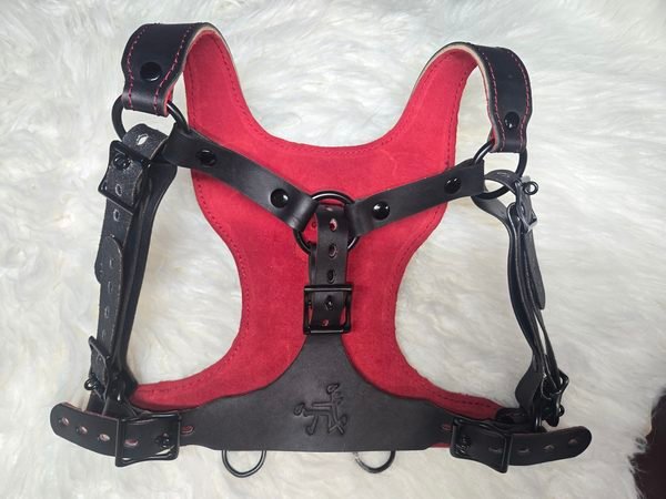 Harness Lining - w-Front Interior view of the Owned Riding Harness showing the soft wearer-contact lining.