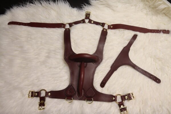 Harness v2.3 Burgundy - Flat 1 Burgundy English Bridle leather Owned Riding BDSM Harness laid flat with solid brass hardware, dual back handles, adjustable chest and torso straps, and detachable Y-shaped front strap.