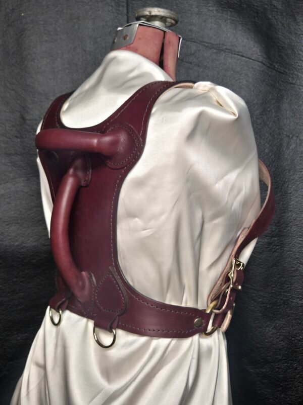 Harness v2.3 - on Mannequin Burgundy - Back 45 Degree Burgundy English Bridle leather Owned Riding BDSM Harness with solid brass hardware, shown from the rear three-quarter view with dual handles and multiple D-ring attachment points.