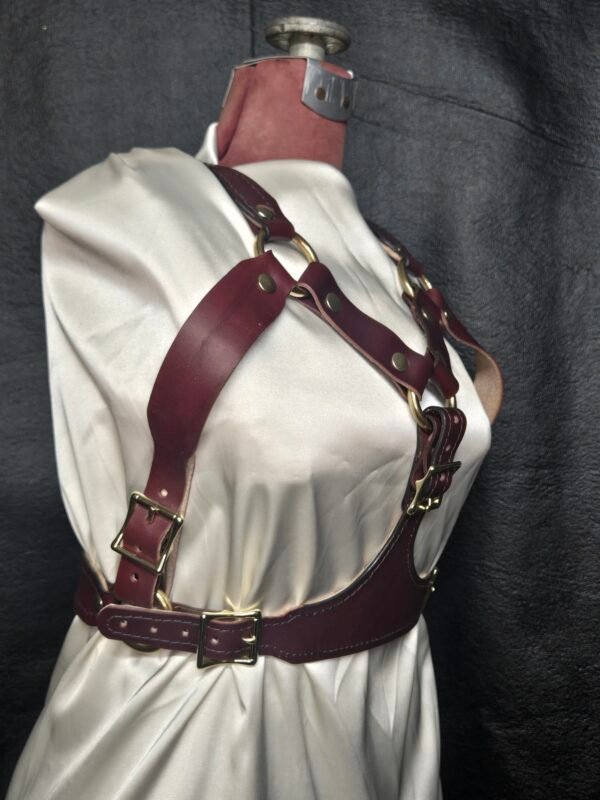 Harness v2.3 - on Mannequin Burgundy - Front 45degree Burgundy English Bridle leather Owned Riding BDSM Harness with solid brass buckles and hardware, shown from the front three-quarter view with adjustable chest and torso straps.