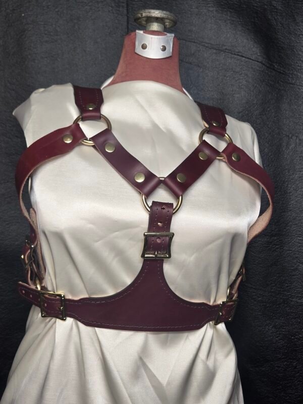 Harness v2.3 - on Mannequin Burgundy - Front Burgundy English Bridle leather Owned Riding BDSM Harness with solid brass rings, rivets, and buckles, shown from the front with adjustable chest and torso straps.