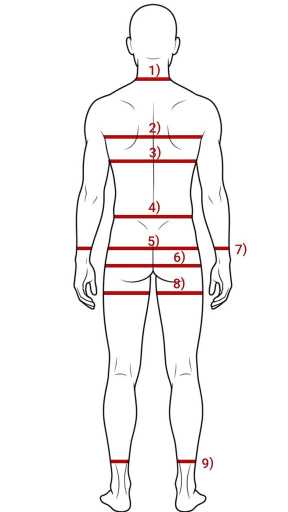 Back-view sizing diagram for a masculine body shape with measurement reference points.