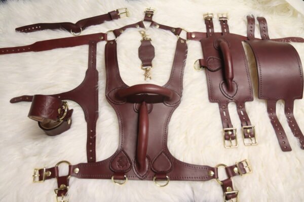 Owned Riding Rig laid out on a white fur background, including the Burgundy English Bridle Owned Riding Harness, Owned Riding Belt, Owned Riding Cuffs, Drop Tip Sigil Collar, and matching tether, all finished with solid brass hardware.